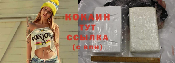 гидра Белоозёрский