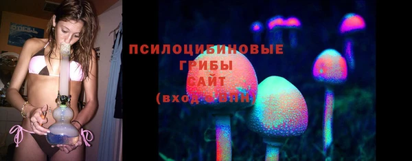 гидра Белоозёрский