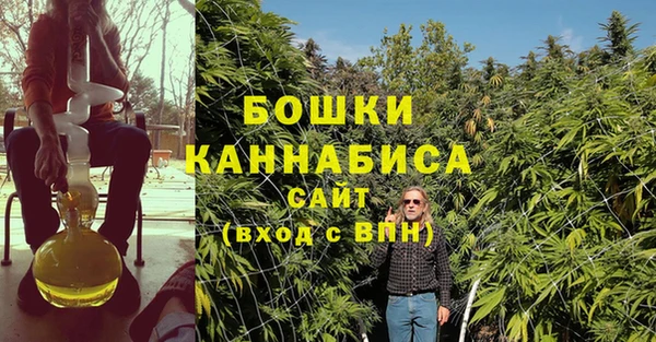 гидра Белоозёрский