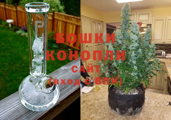 марки nbome Белокуриха