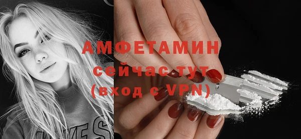 гидра Белоозёрский